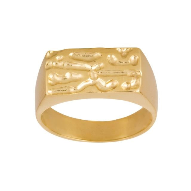 Noa signetring i 8 karat guld