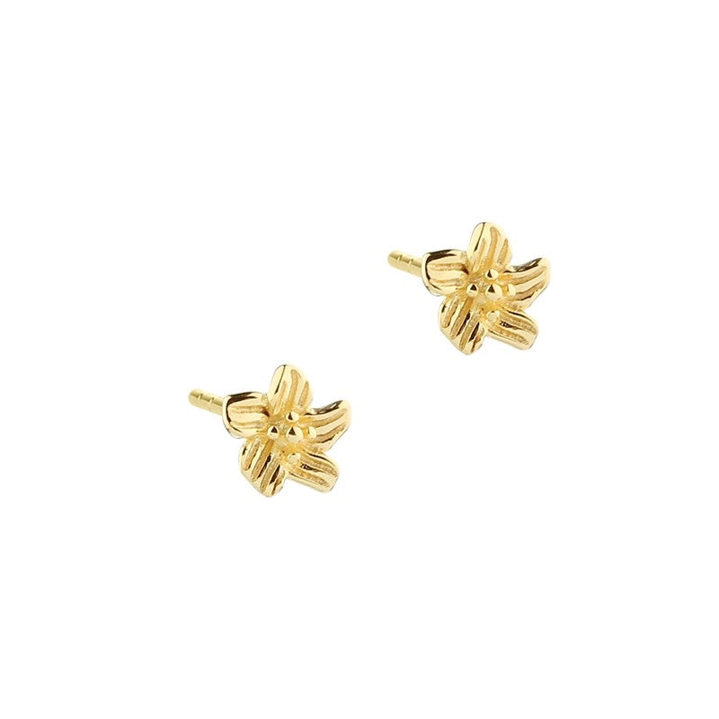 Jasmin small øreringe fra Aqua Dulce i forgyldt sterlingsølv med 6 mm blomsterdesign.