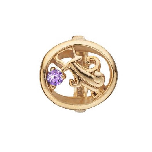 Vandmanden stjernetegn charm i forgyldt fra Christina Jewelry & Watches med zirkonia