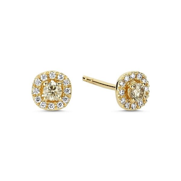 Nuran øreringe fra Champagne-serien i 14 kt guld med champagnefarvet midtsten og hvide diamanter i rosetdesign.