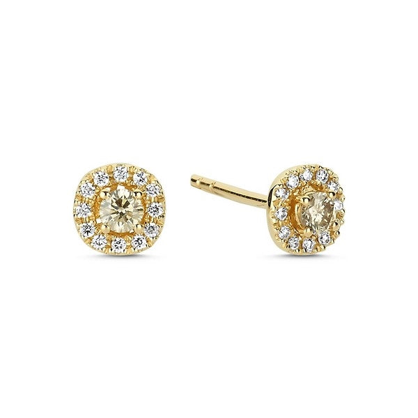 Nuran øreringe i 14 kt guld med champagne- og hvide diamanter 0,32 ct
