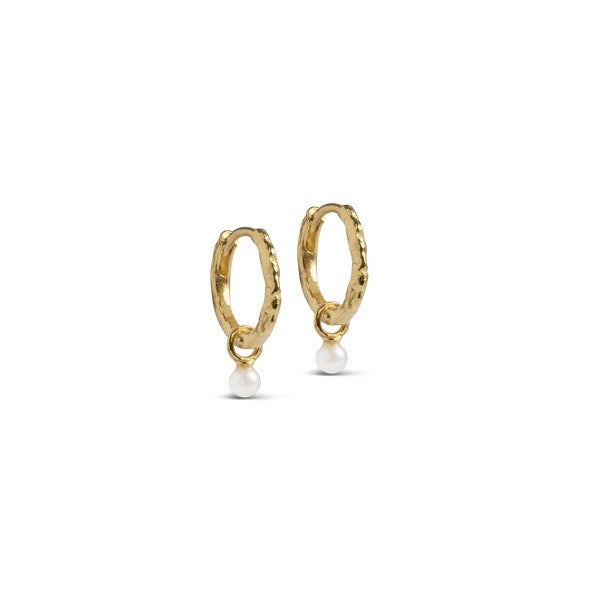 Belle Pearl creoler i forgyldt sølv med ferskvandsperle fra Enamel Copenhagen, 13 mm hoops fra Ocean Secrets-kollektionen.